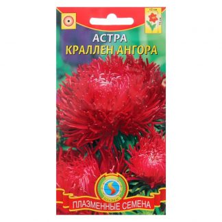 Семена цветов Астра "Краллен Ангора"