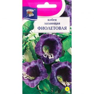 Семена цветов Кобея "Фиолетовая"