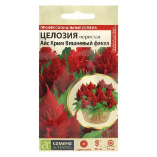 Семена цветов Целозия Айс Крим "Вишневый факел"