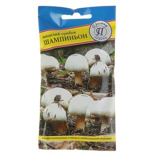 Мицелий грибов Шампиньон белый