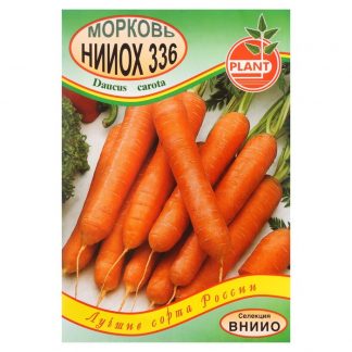 Семена Морковь "НИИОХ" БП