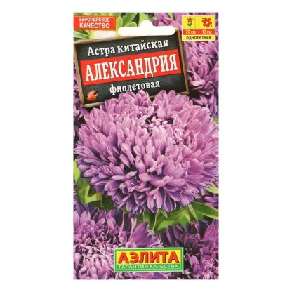 Семена цветов Астра "Александрия" фиолетовая