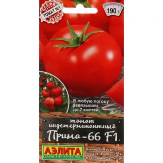 Семена Томат "Прима-66"