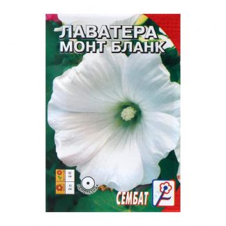 Семена цветов Лаватера белая "Монт бланк"