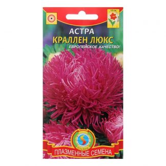 Семена цветов Астра "Краллен Люкс" лилово-розовая