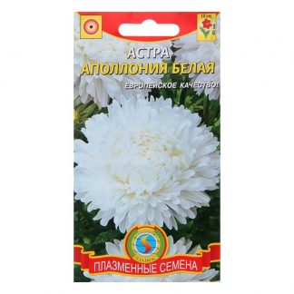 Семена цветов Астра "Апполония" белая