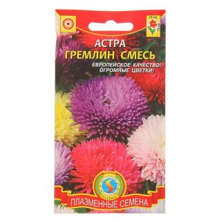 Семена цветов Астра "Гремлин смесь"