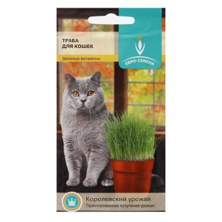 Семена Трава для кошек