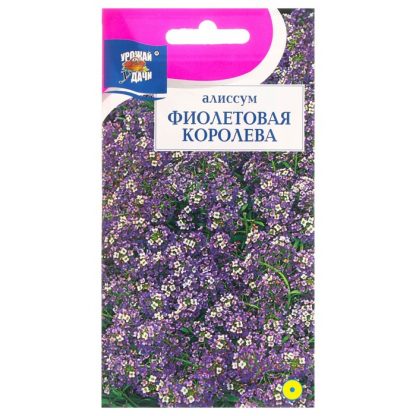 Семена цветов Алиссум "Фиолетовая королева"
